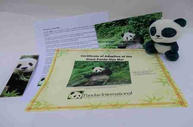hua mei care for cubs items