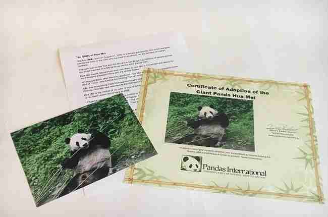 hua mei panda pals items