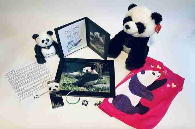 hua mei silver adoption items