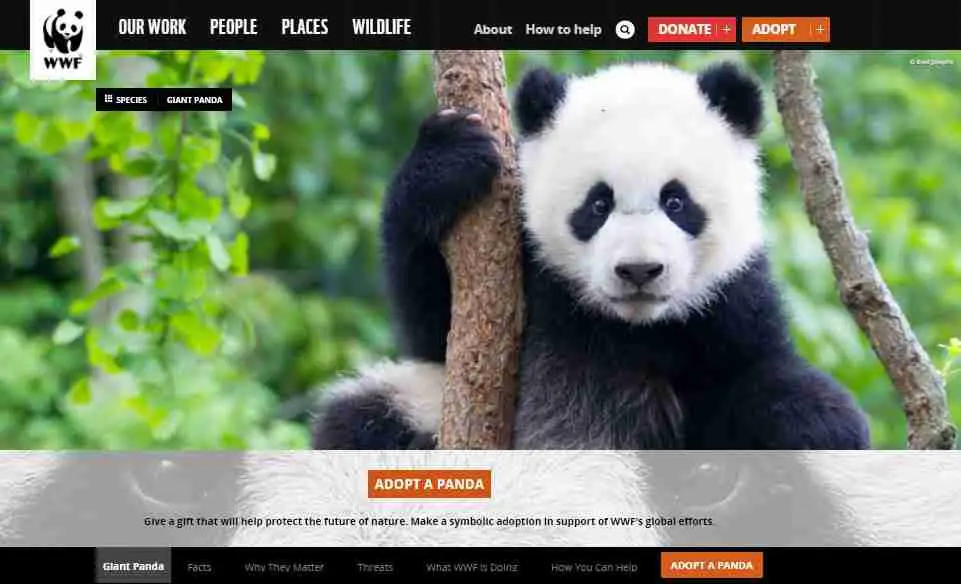 how can we save giant pandas from being extinct through world wildlife fund